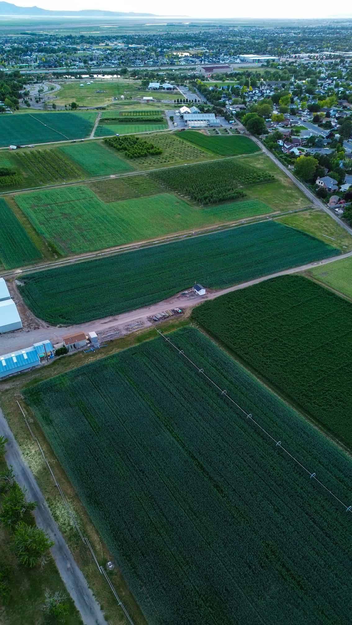 Smart Farm